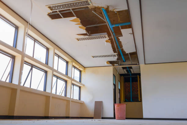 Best Sewage cleanup and water damage restoration  in Metuchen, NJ