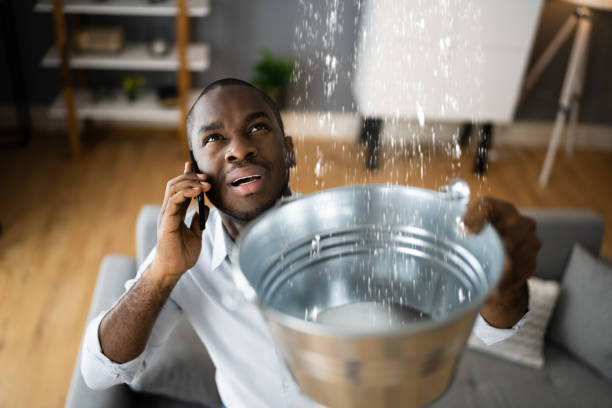 Best Flooded house restoration  in Metuchen, NJ
