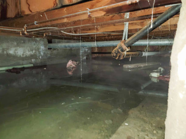 Trusted Metuchen, NJ Water damage restoration Experts