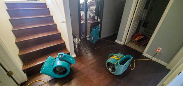 Best Basement water damage restoration  in Metuchen, NJ