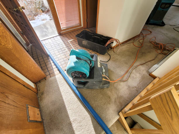 Best Basement water damage restoration  in Metuchen, NJ