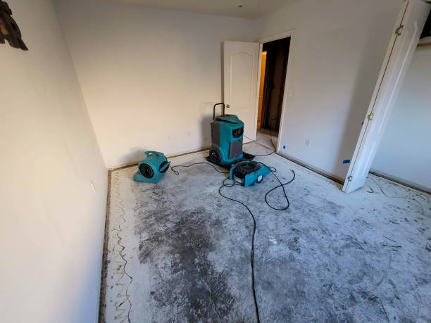 Best Residential water damage restoration  in Metuchen, NJ