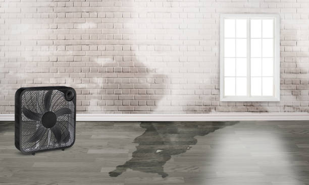 Best Flood restoration services  in Metuchen, NJ