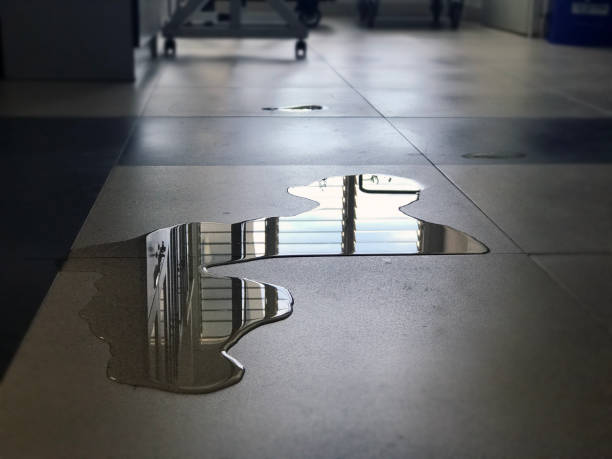 Best 24-hour water damage restoration  in Metuchen, NJ