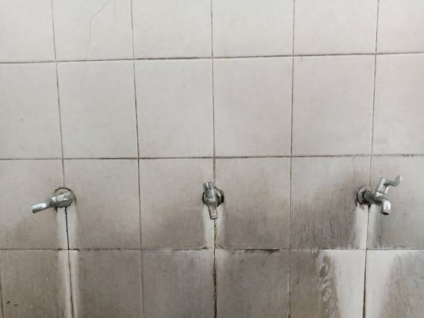 Best Emergency water extraction  in Metuchen, NJ
