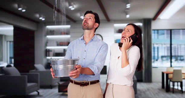 Best Water damage cleanup near me  in Metuchen, NJ