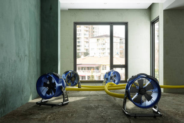Best Water damage restoration insurance claims  in Metuchen, NJ